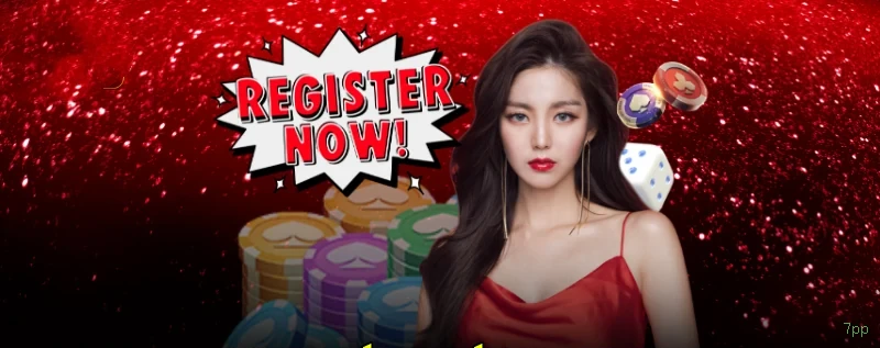 7pp Provedores Premium